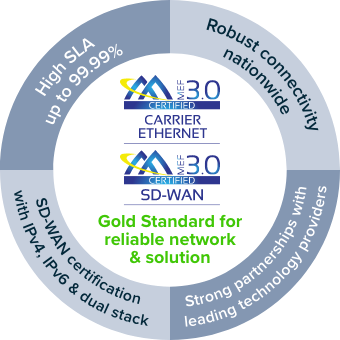 Gold Standard for reliable network & solution