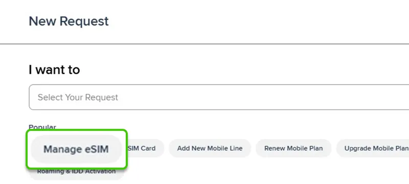 Request New eSIM - New Request on Homepage