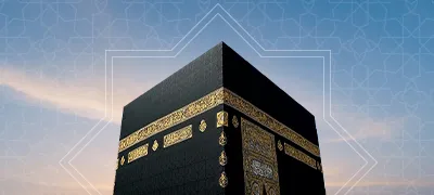 50-Day Business Saudi Premium Data Pass