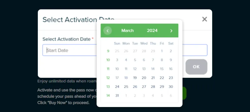 Step 2: Select the desired activation date for the pass. Activation time is at 12:00 AM Malaysia time.