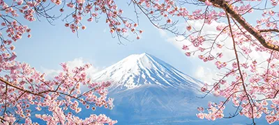 Monthly Business World Unlimited Data