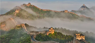 1-Day Business Unlimited Data