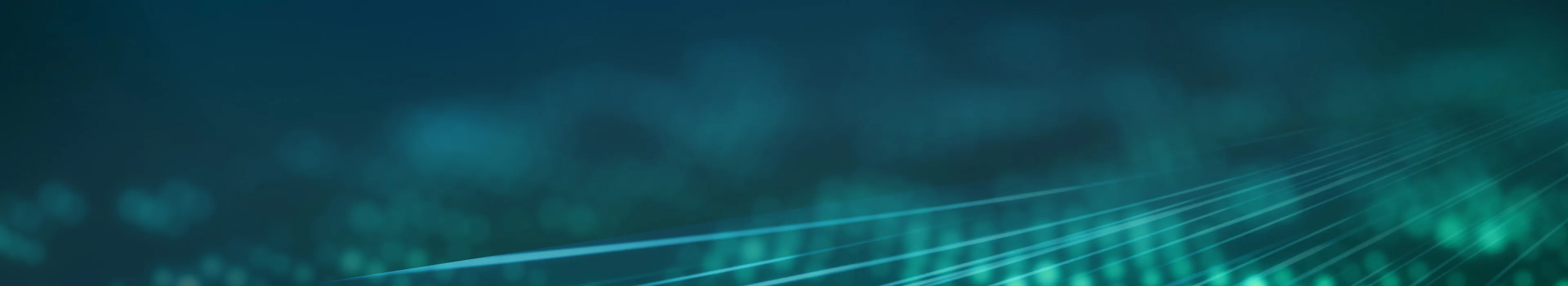 IDC InfoBrief 2025